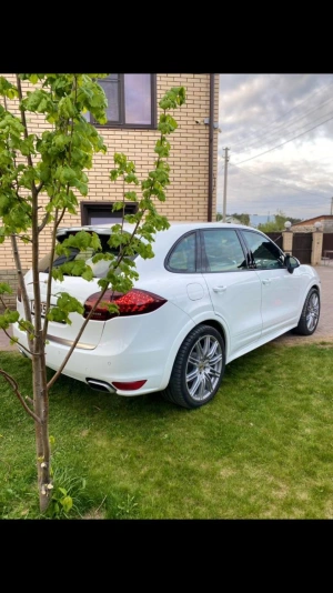 Porsche Cayenne S
